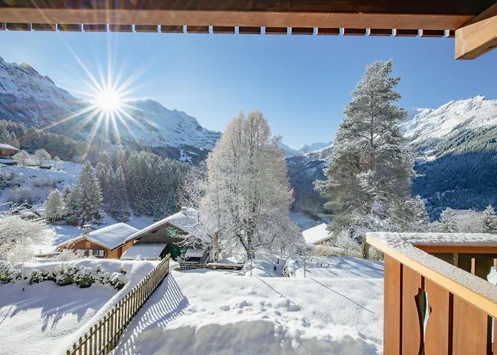 Ledihus Apartament *